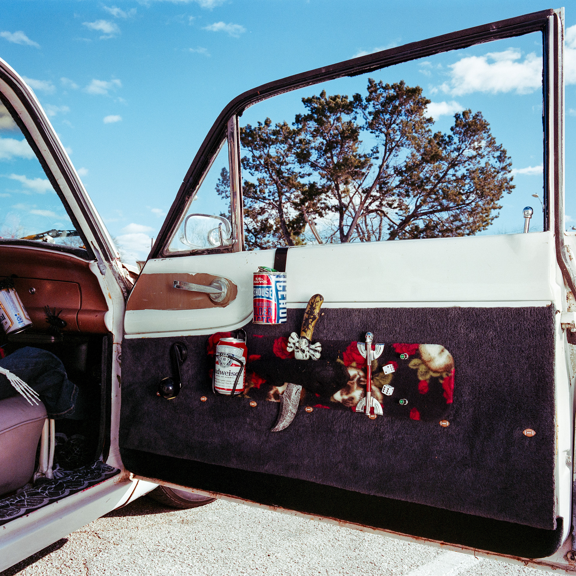 Raíz del Sur, 2025. 6x6.