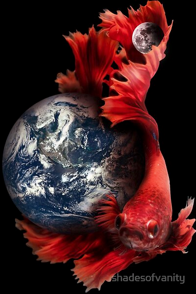 Beta World
