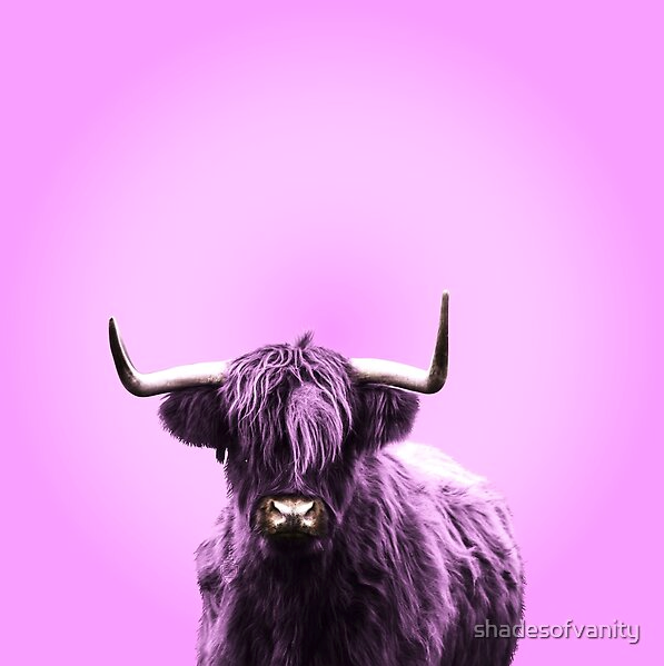 Lilac Bull