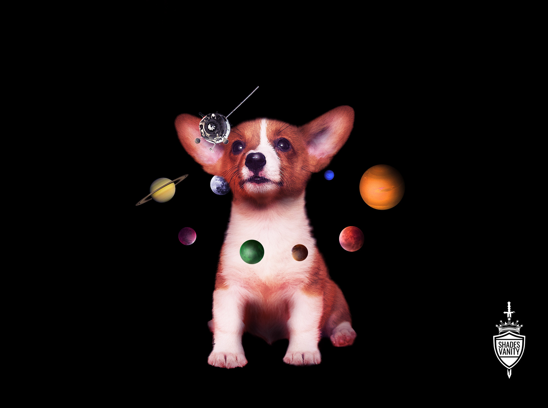 Spaced Corgi