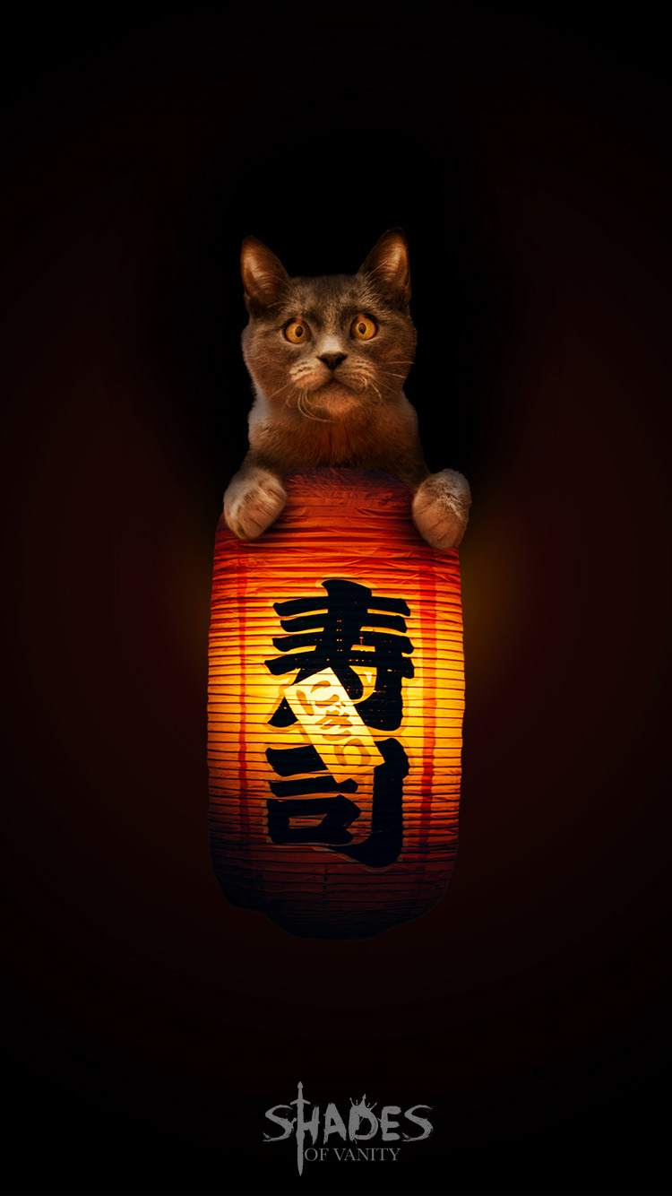 Sake Cat