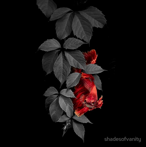 Beta in Colorless World