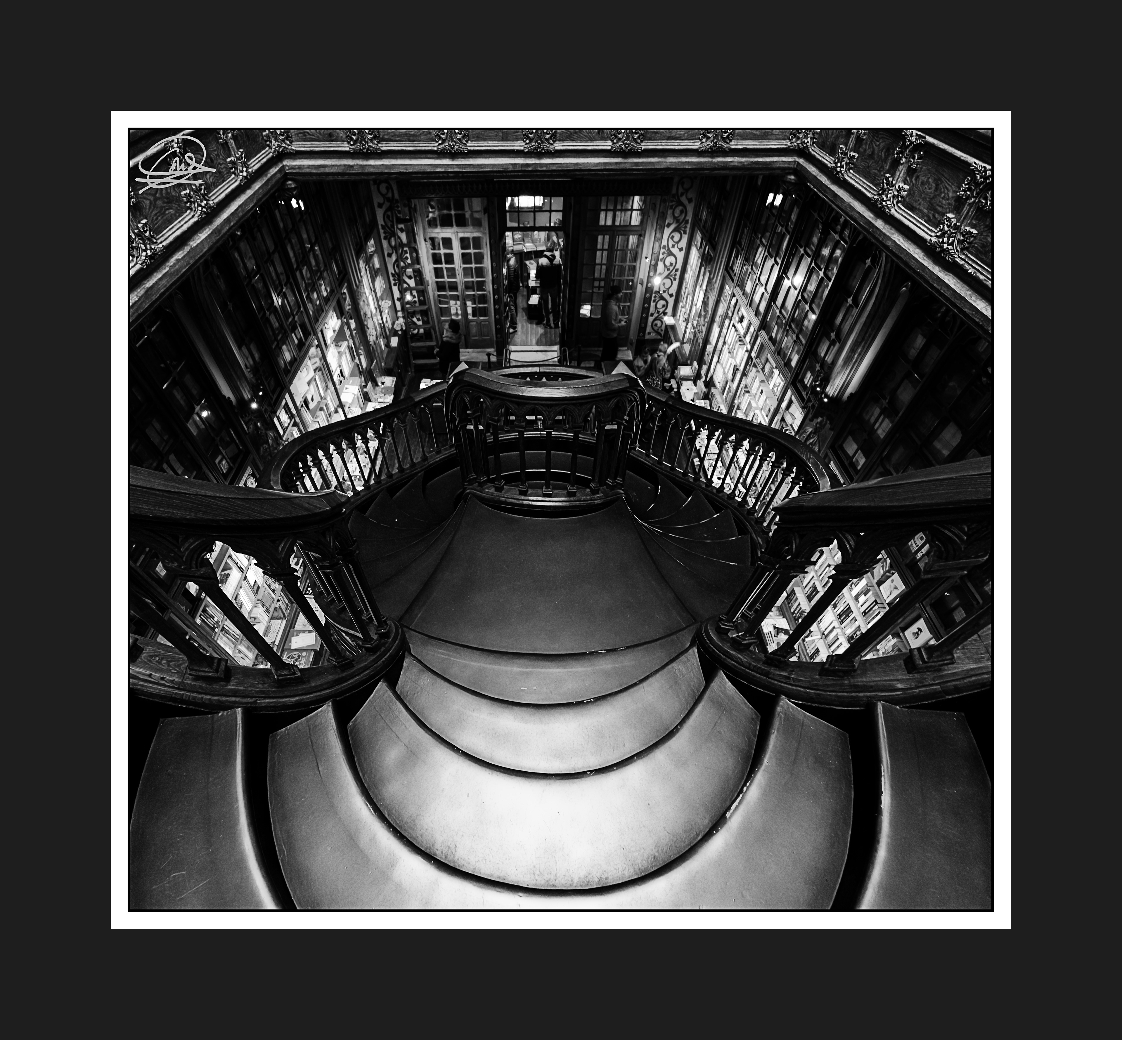 Libreria Lello byn-1