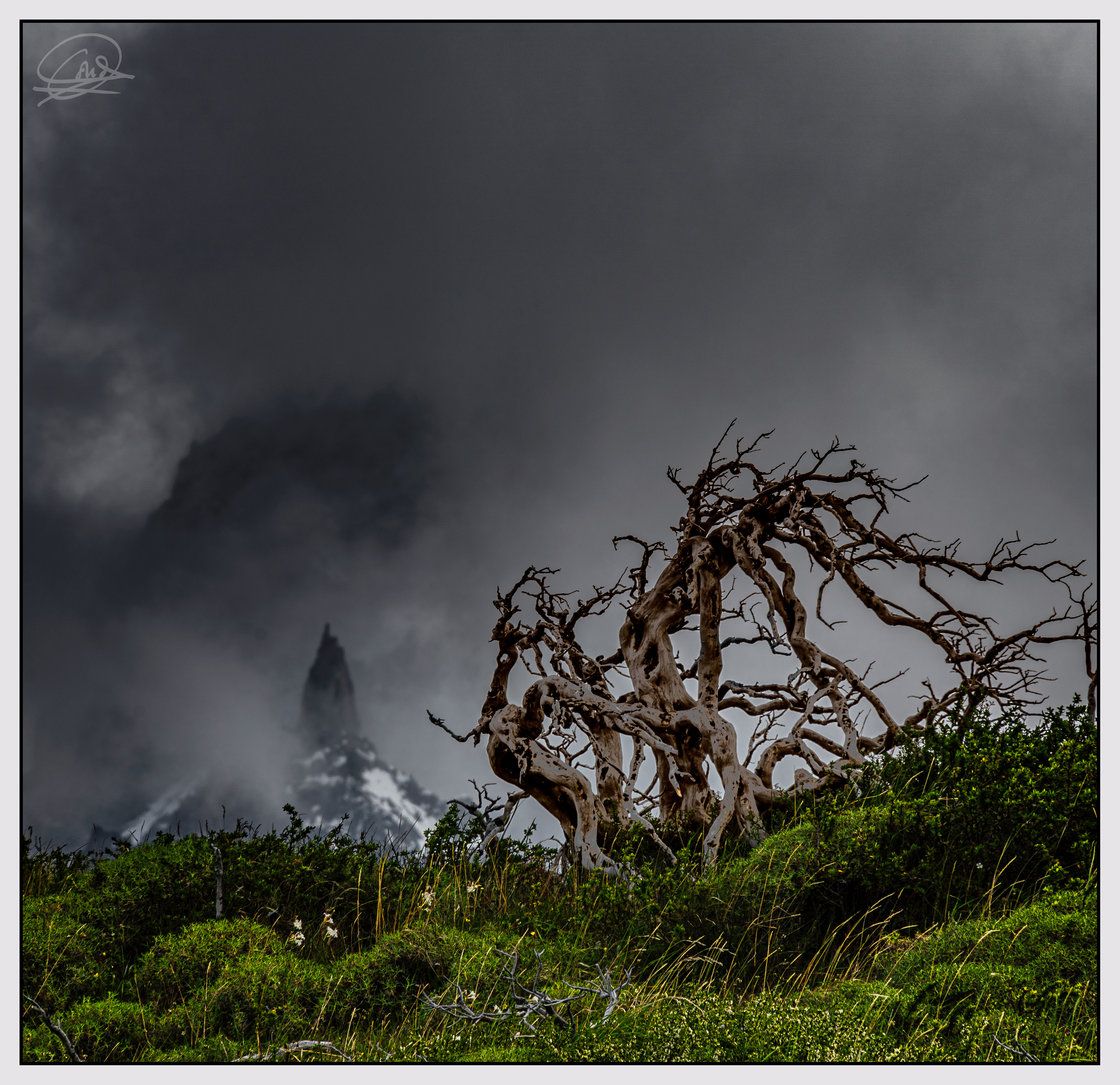Torres del Paine-8