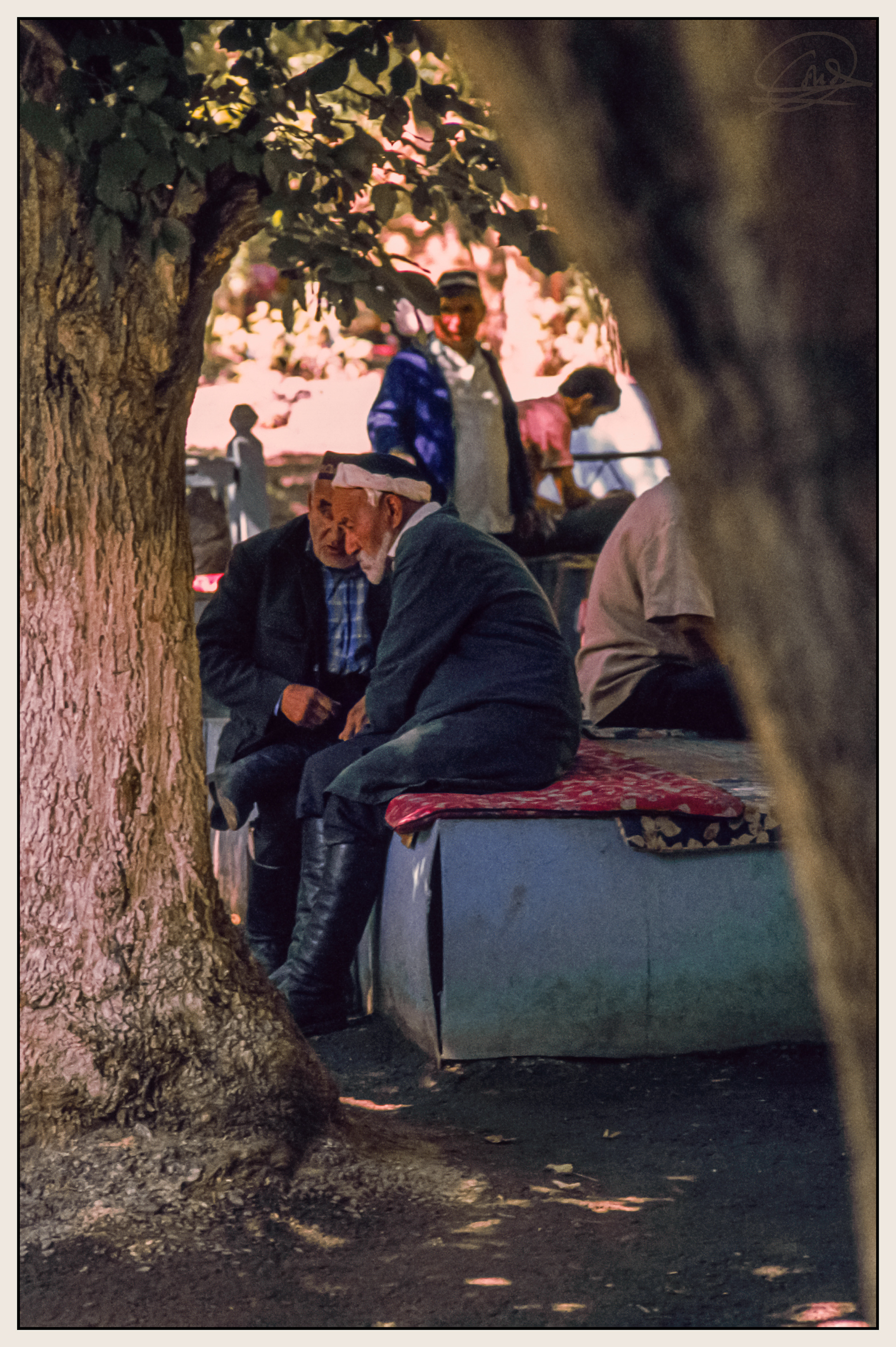 Tashkent