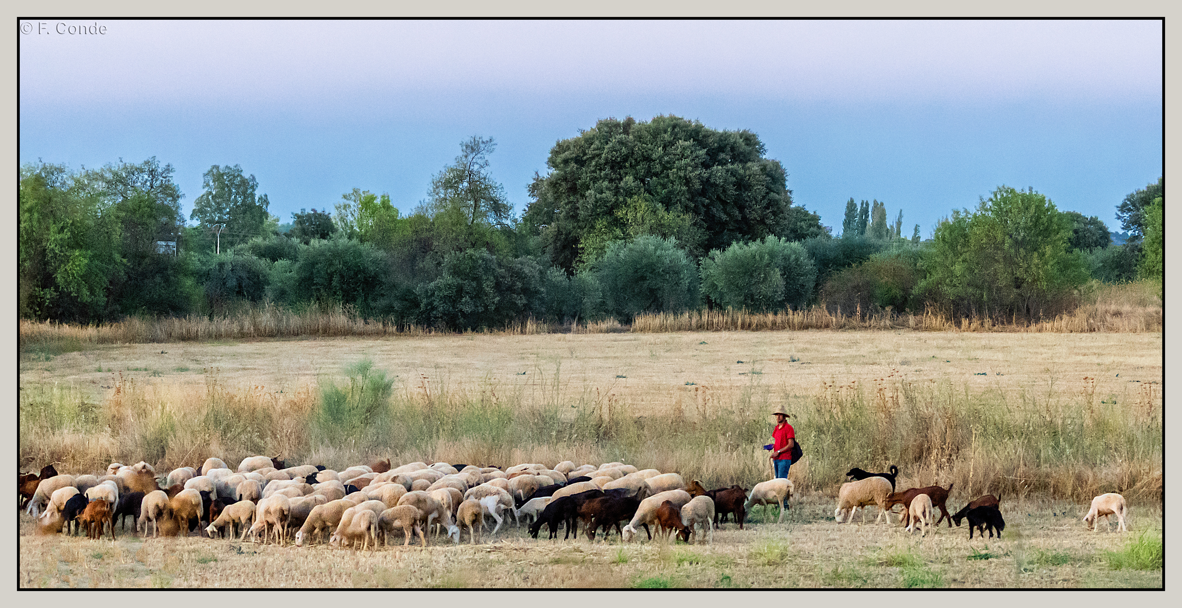 Serranillos-1