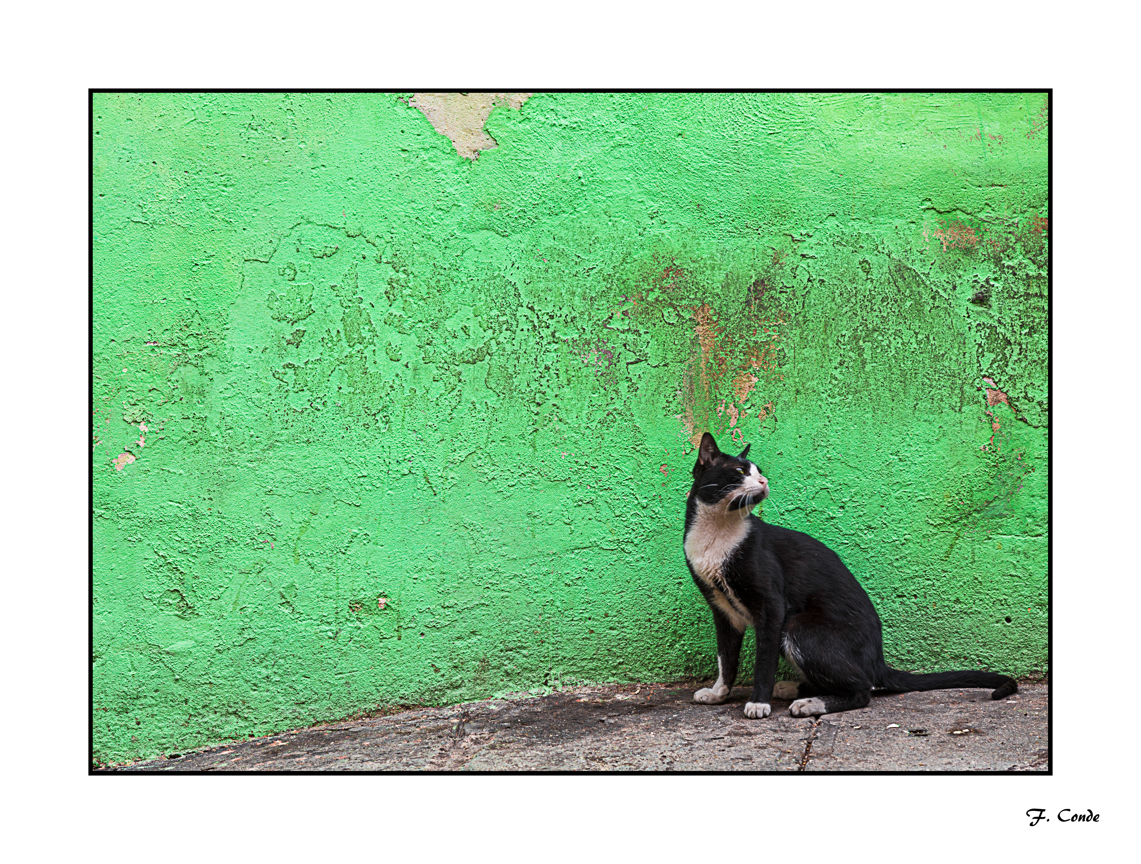 Cuba-47