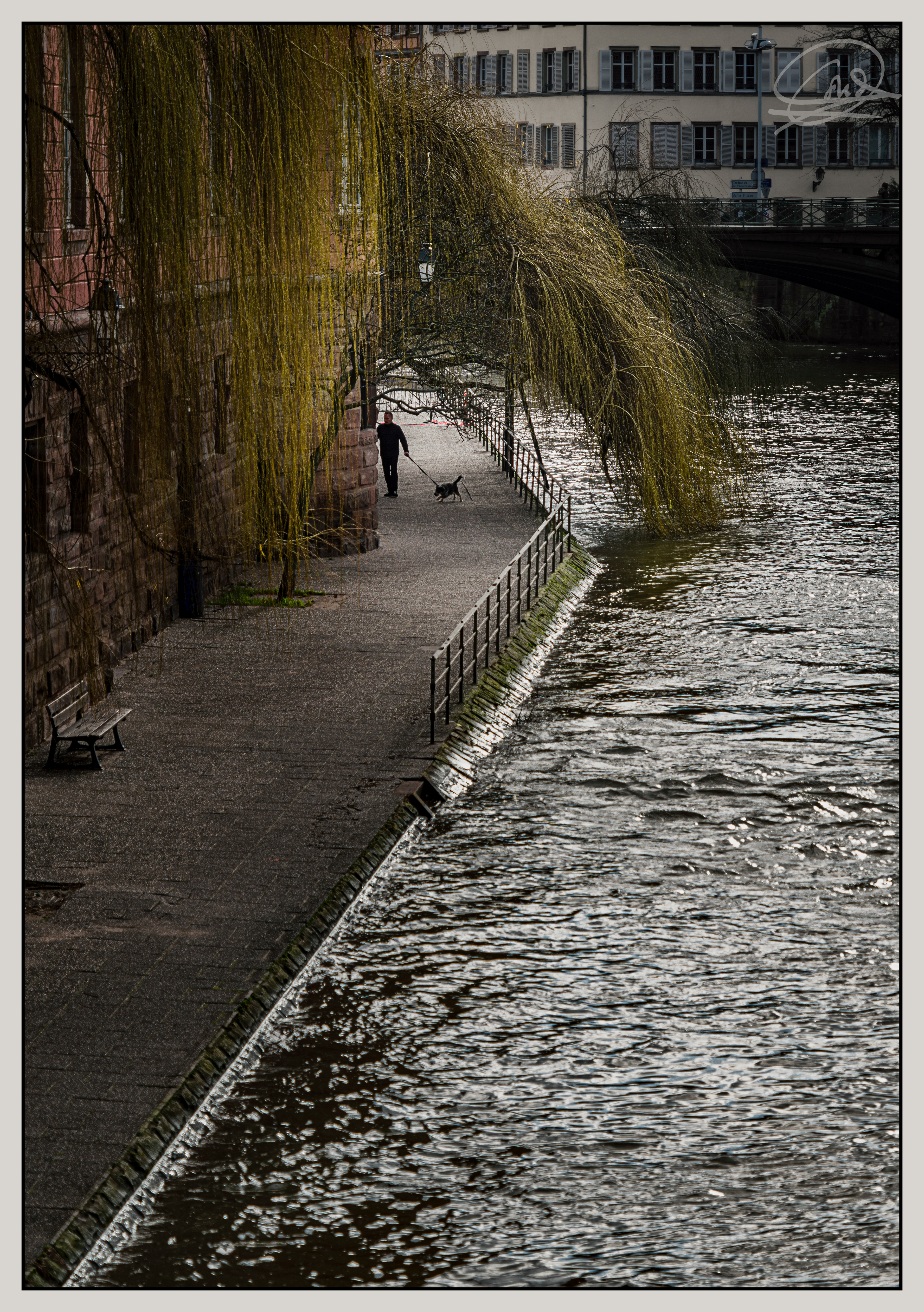 Estrasburgo-16
