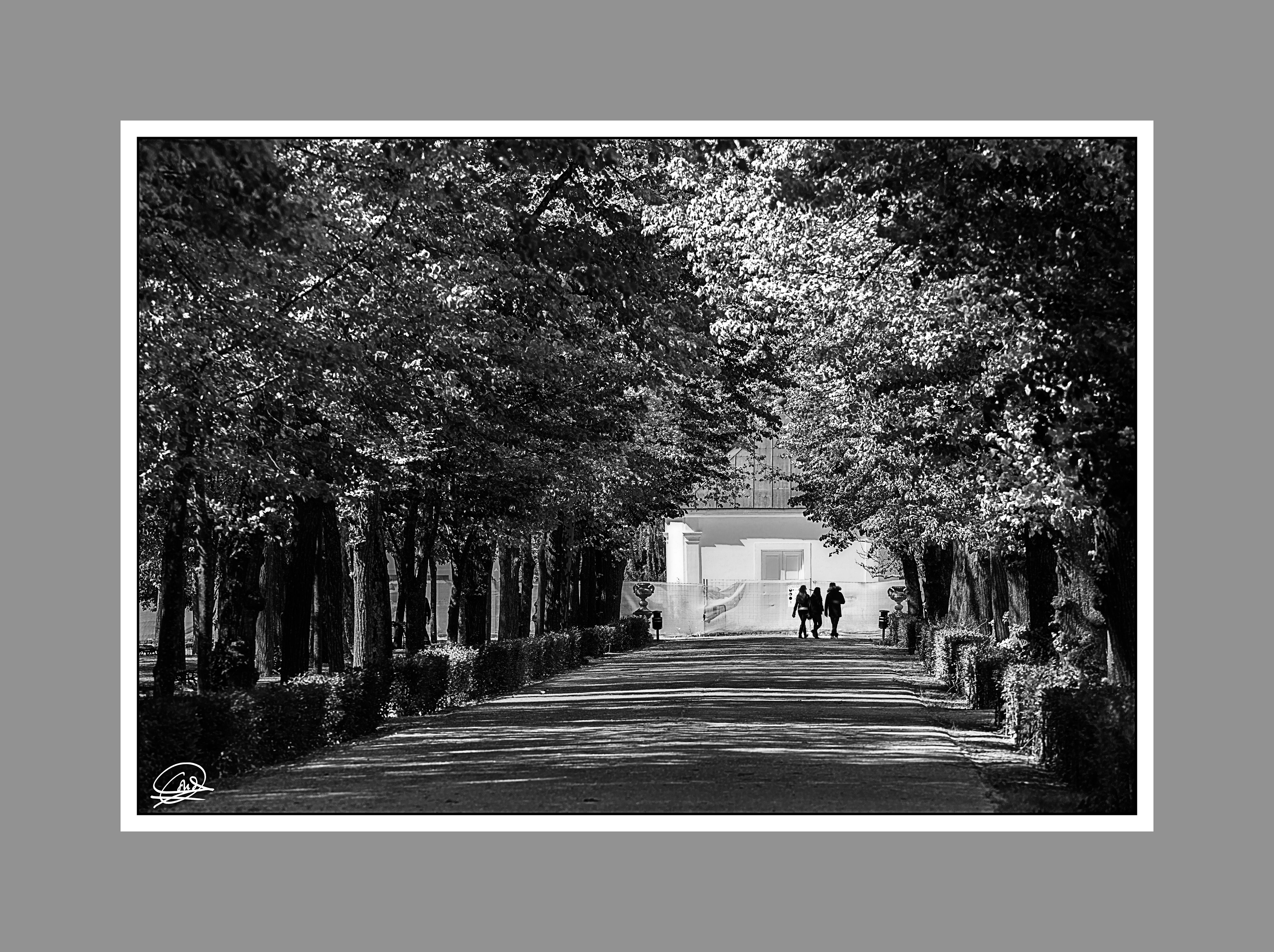 Aranjuez byn-9