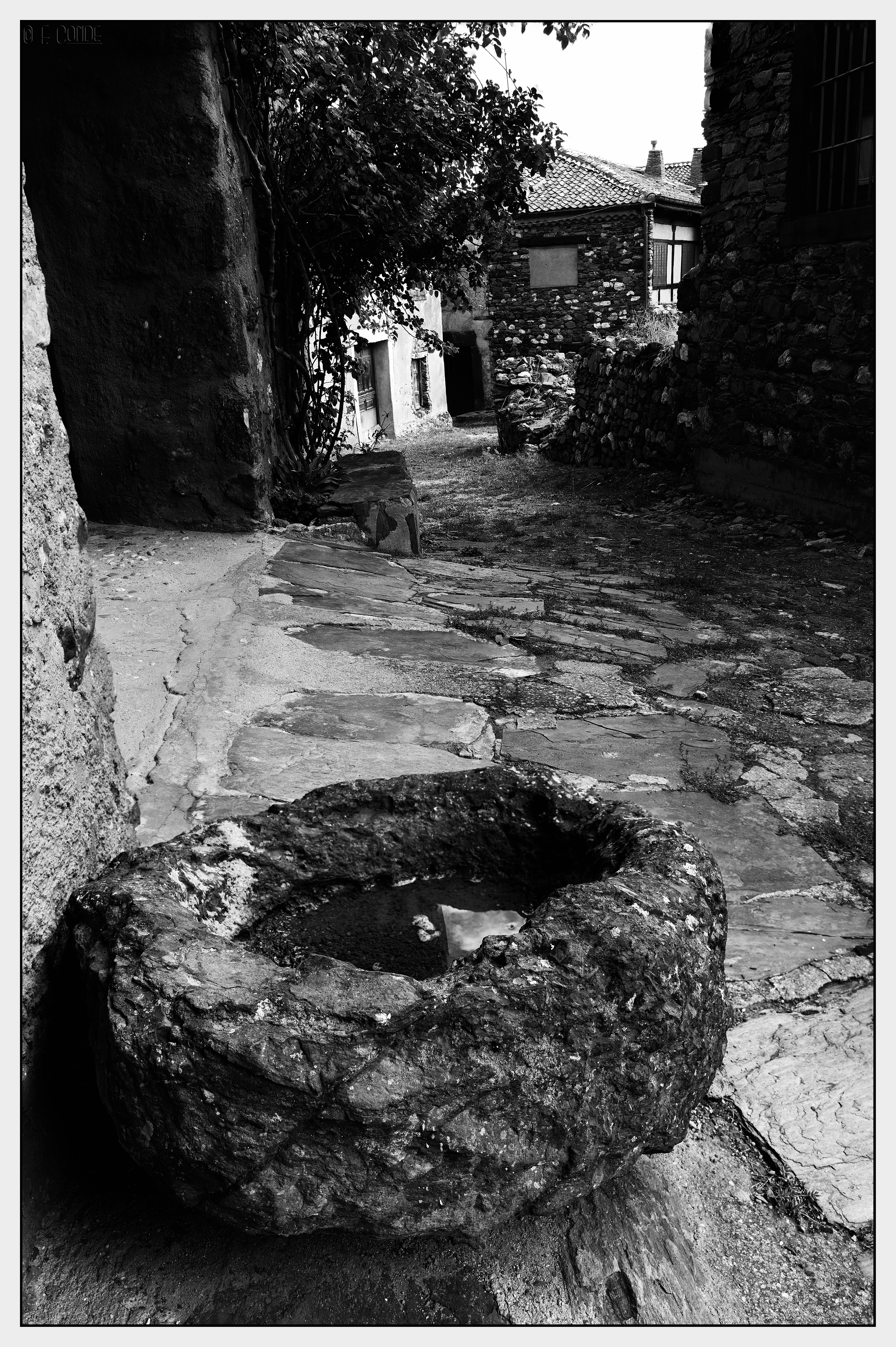 Madriguera byn-5
