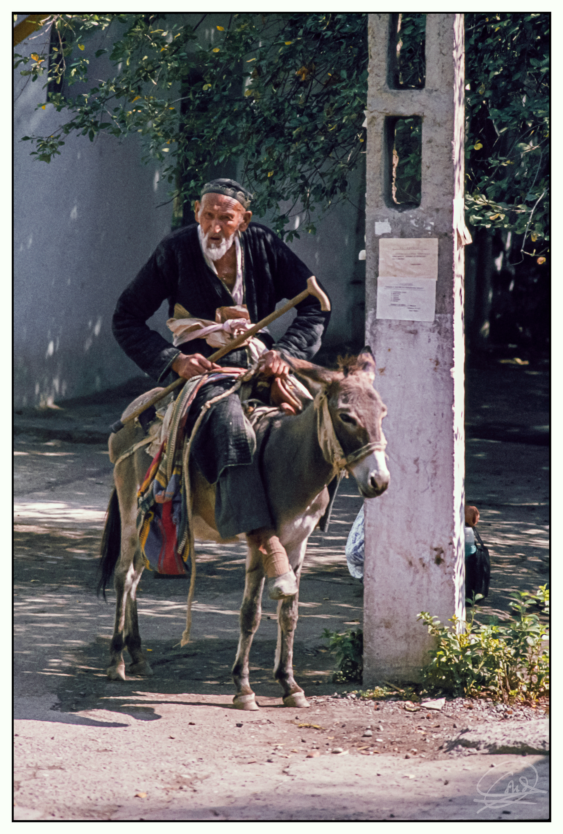 Tashkent