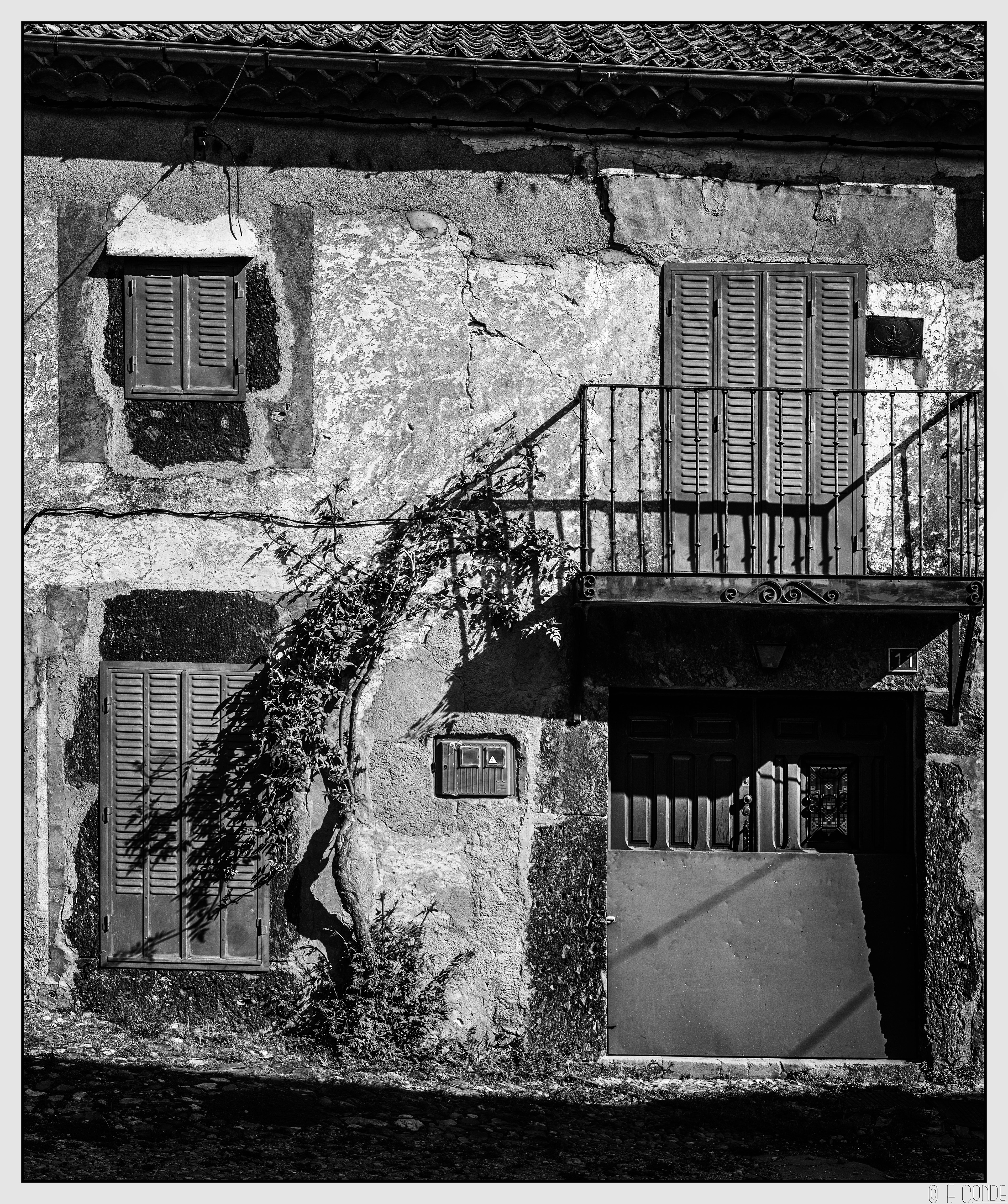 Madriguera byn-4