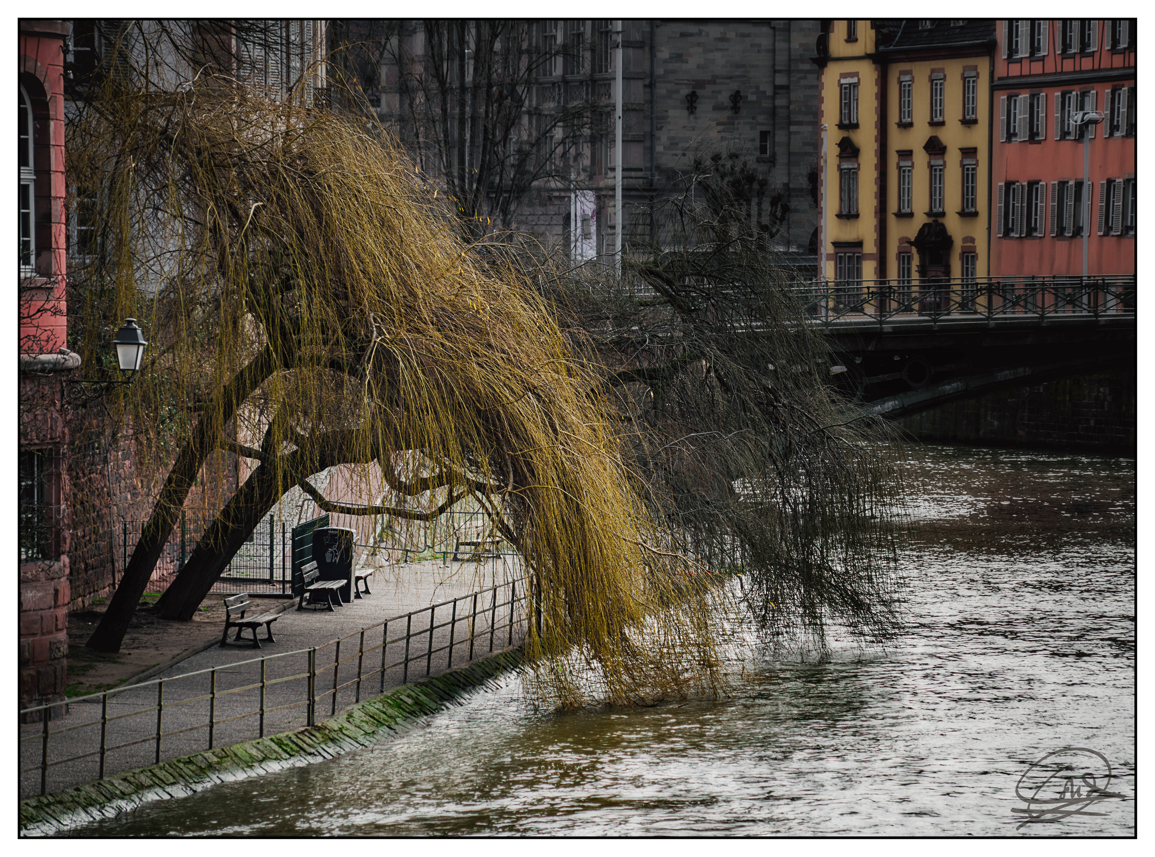 Estrasburgo-12