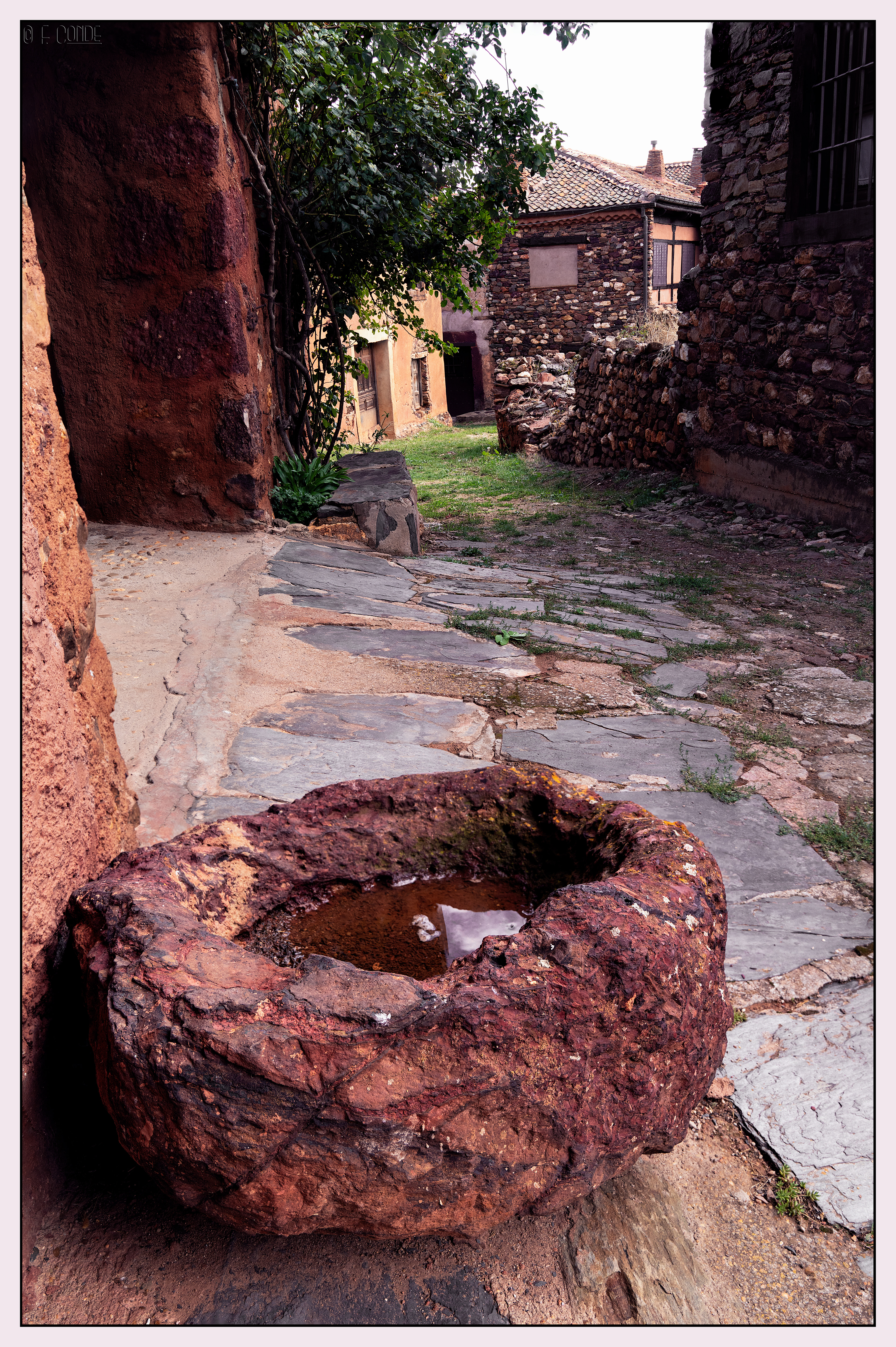 Madriguera-8