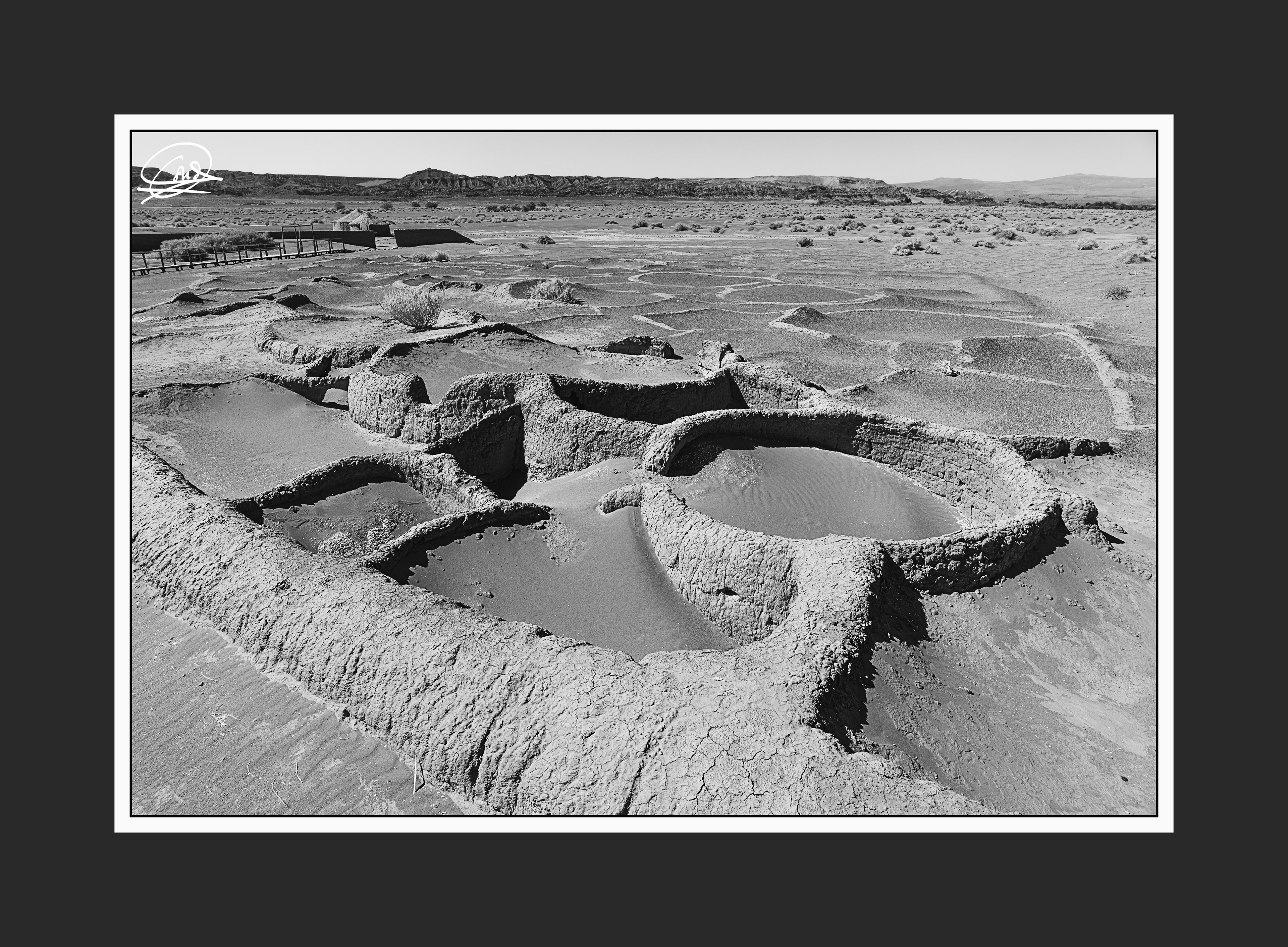 Chile byn-37