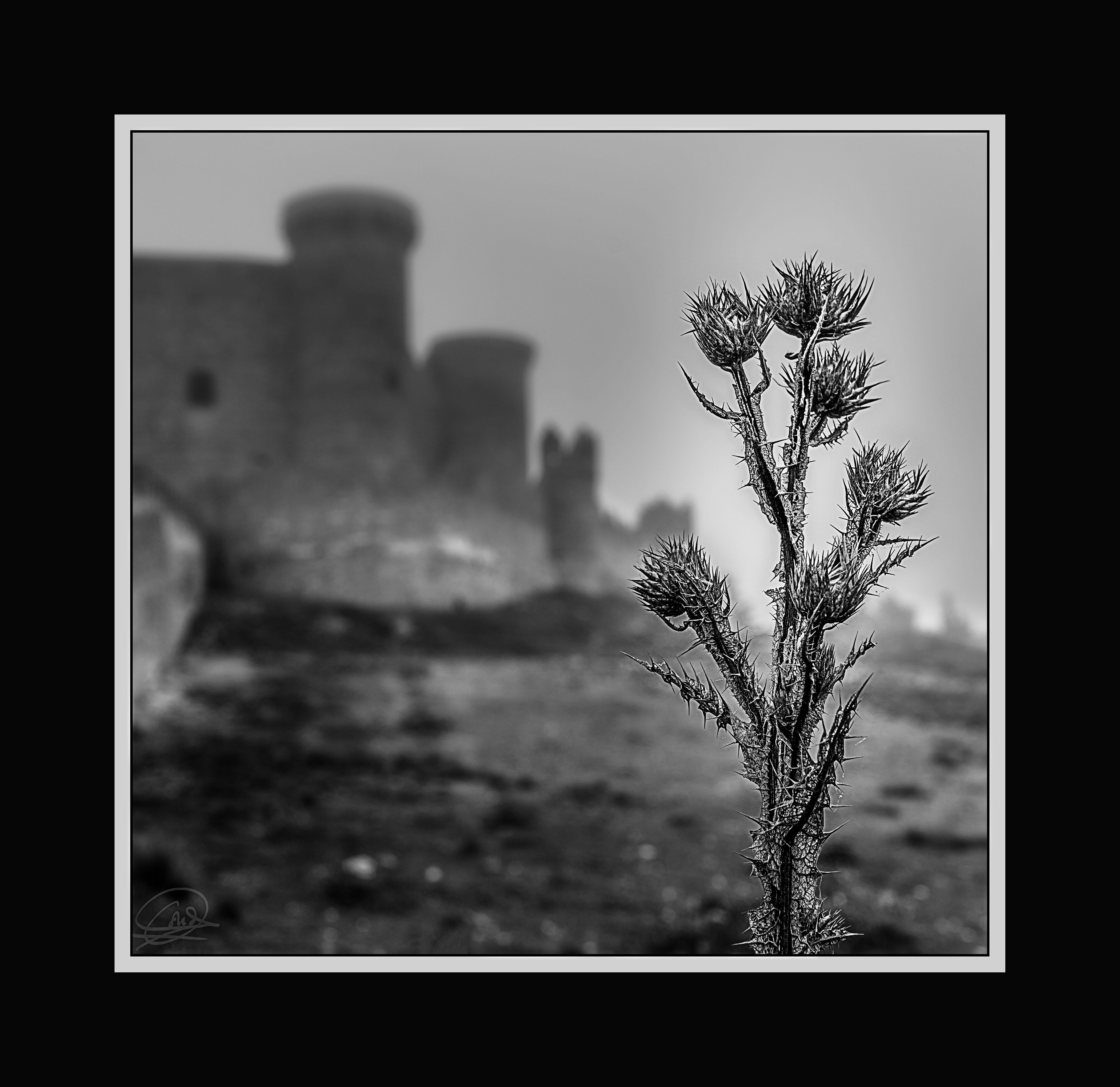 Belmonte byn-5