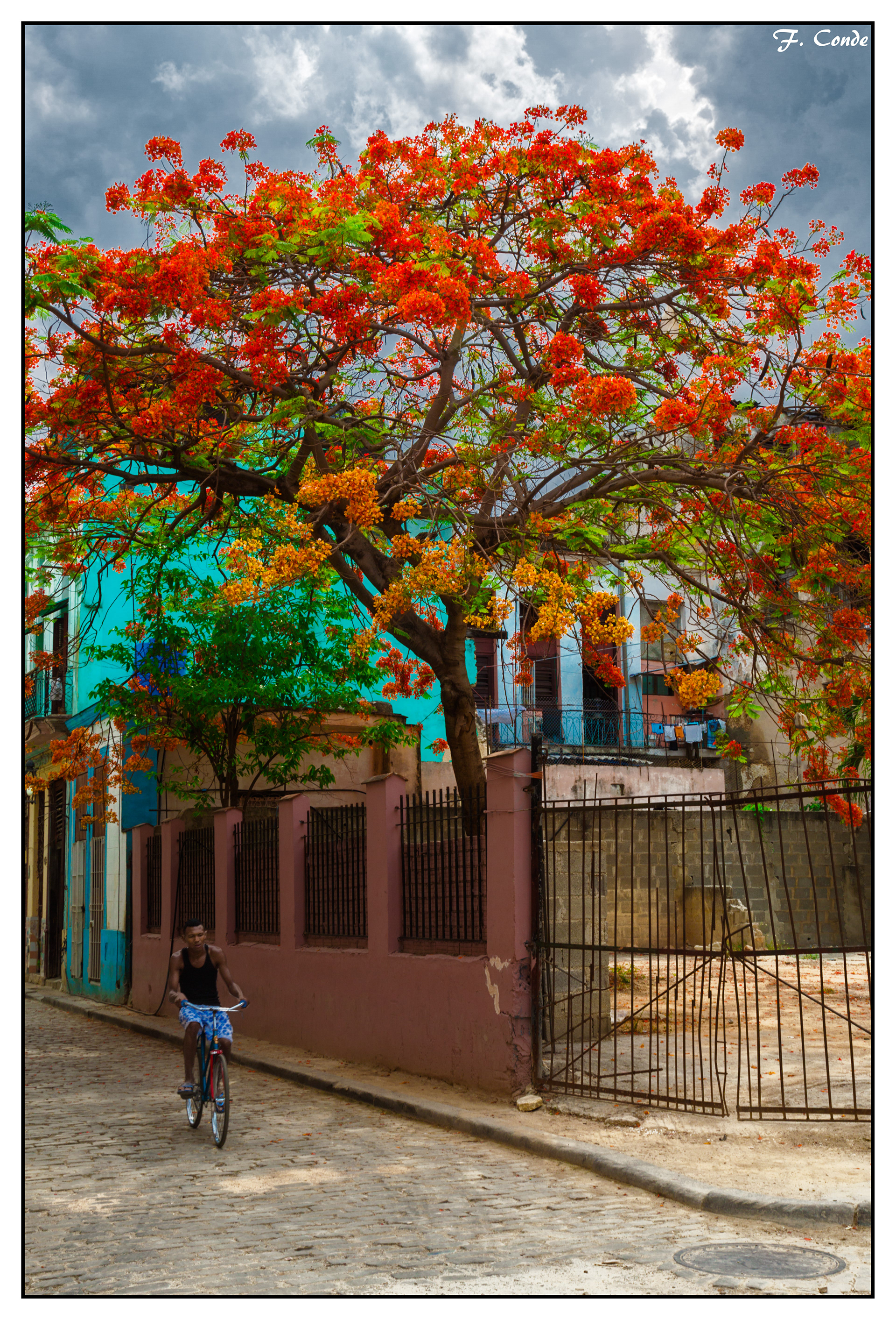 Cuba-15