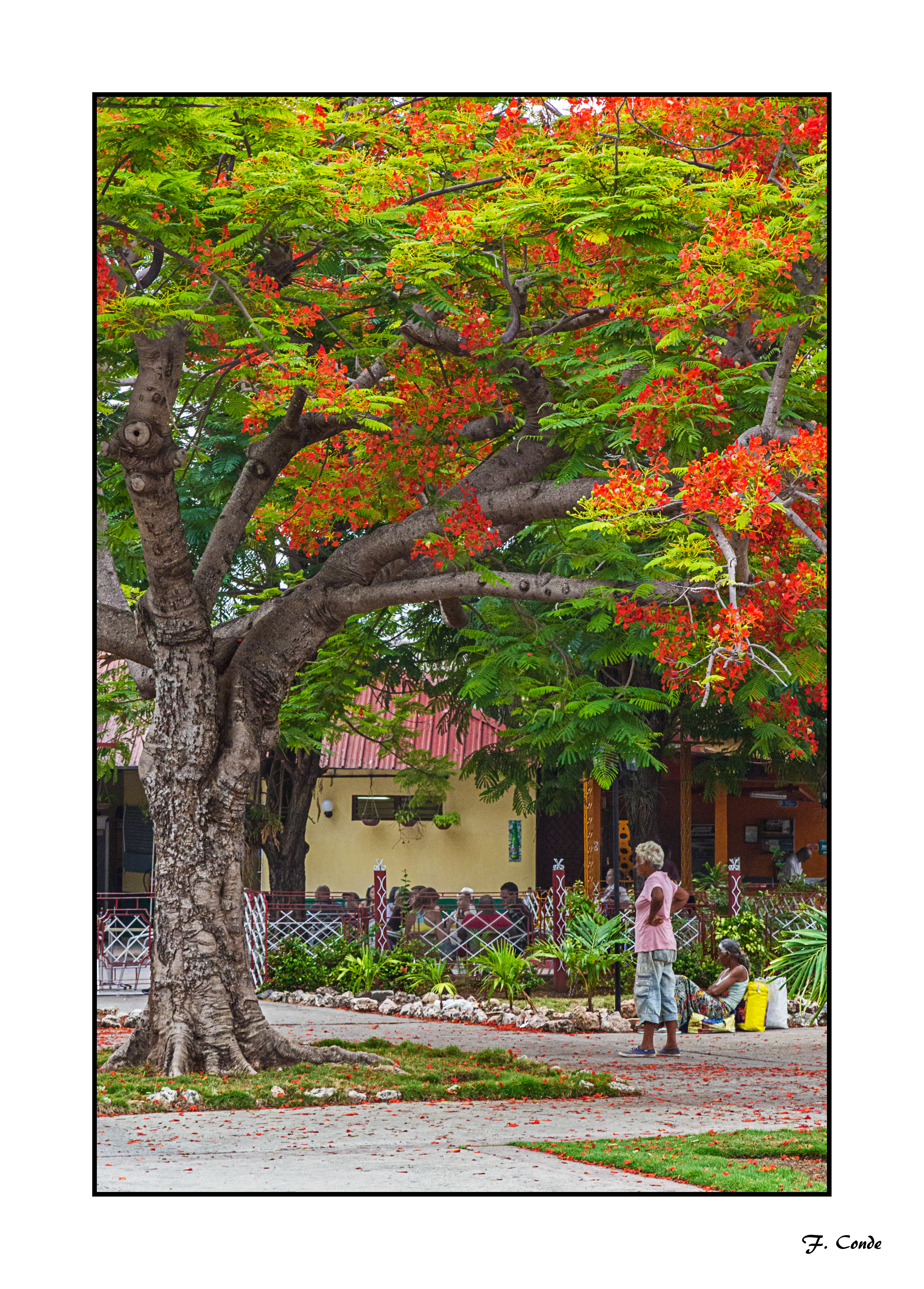 Cuba-49