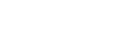 THE RAIN AGENCY