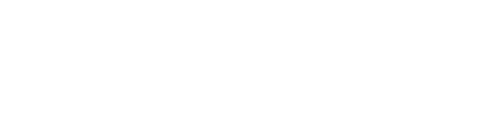 THE RAIN AGENCY