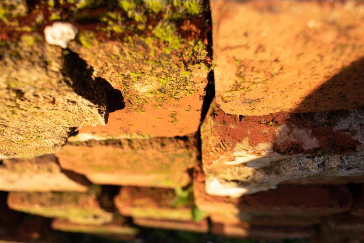 Golden Hour Bricks