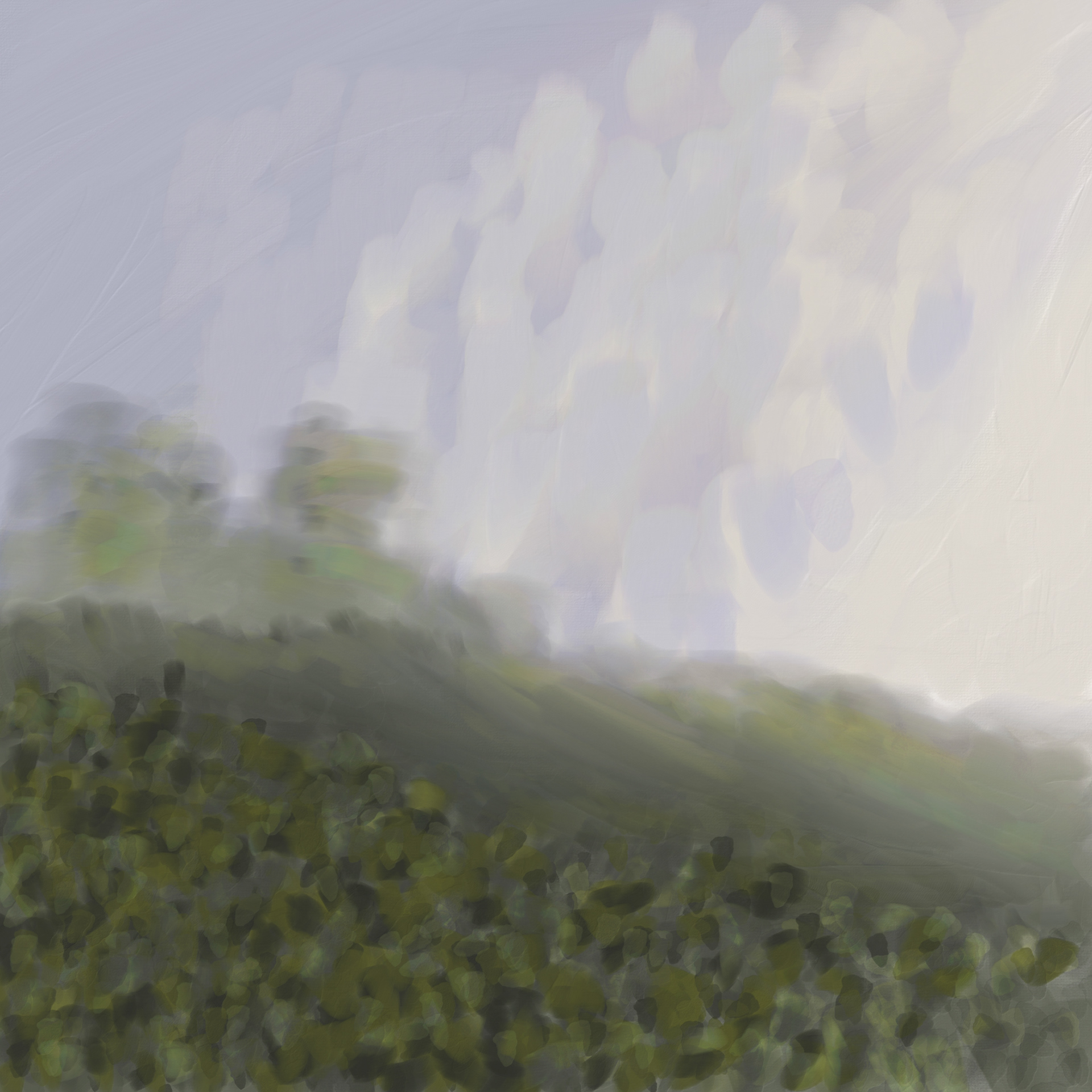 Foggy