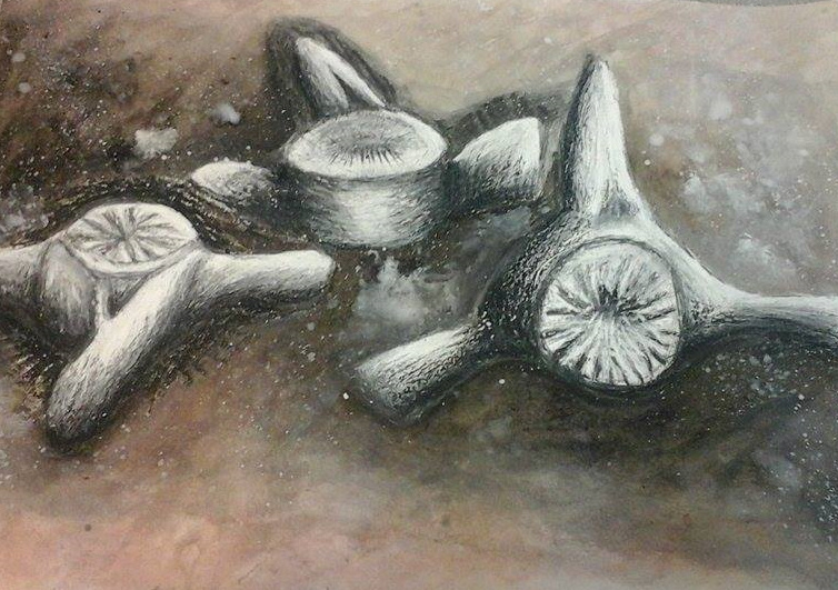 Pencil, pastel, and charcoal with watercolour wash