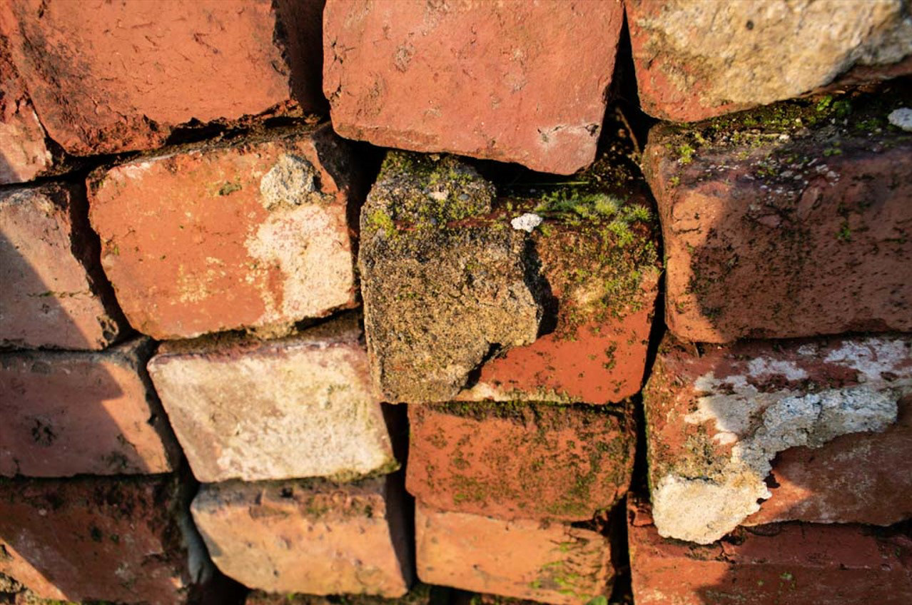 Brick and Mortar
