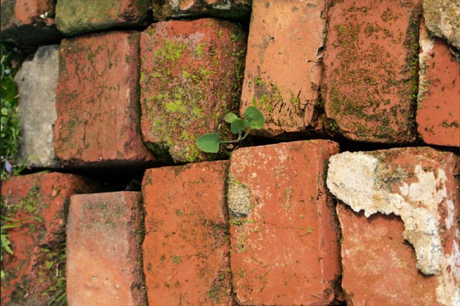 Brick Life