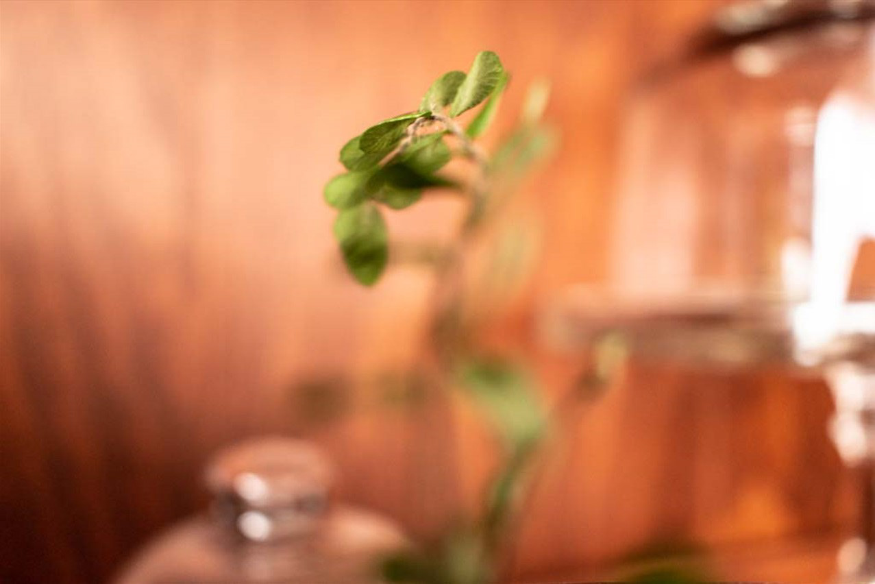 Button Leaves