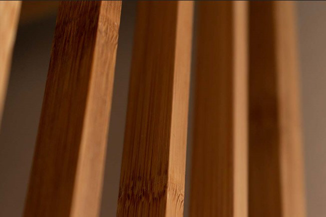 Bamboo