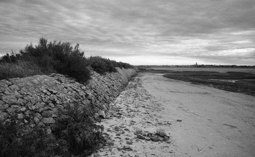 © Alexandre BERGER - Le Pays aux Pieds d'Argile - 2015