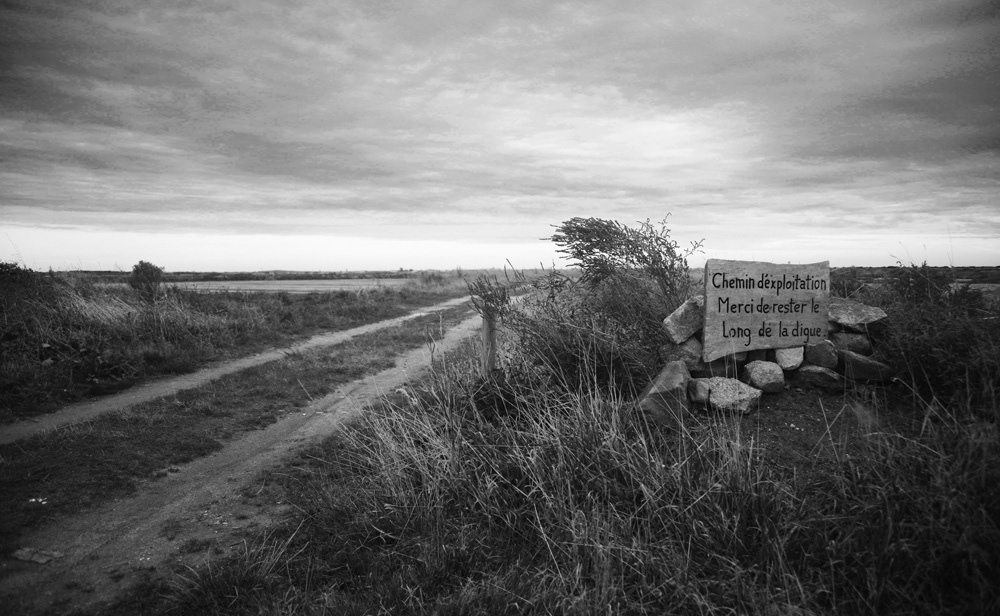© Alexandre BERGER - Le Pays aux Pieds d'Argile - 2015