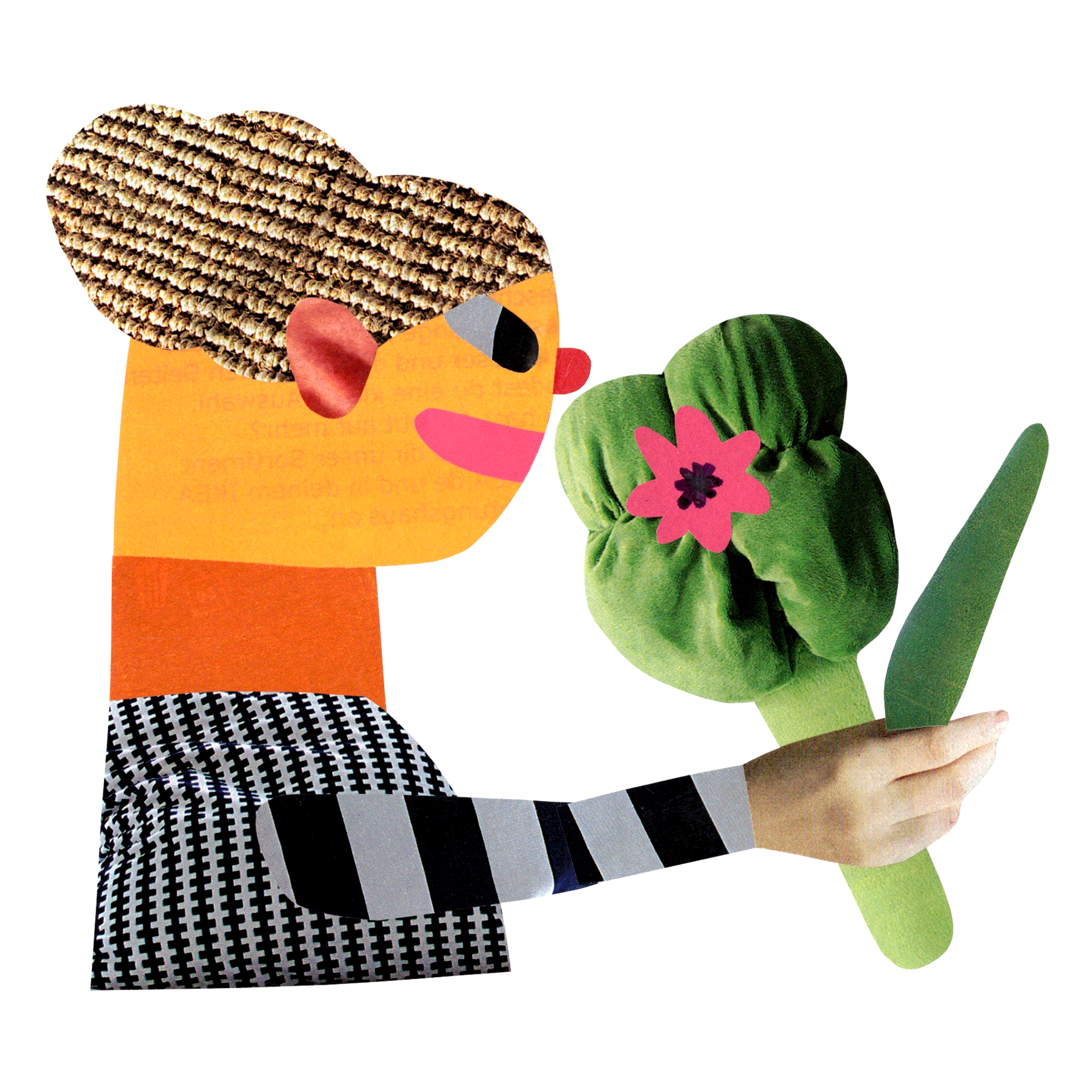 Flower of cotton