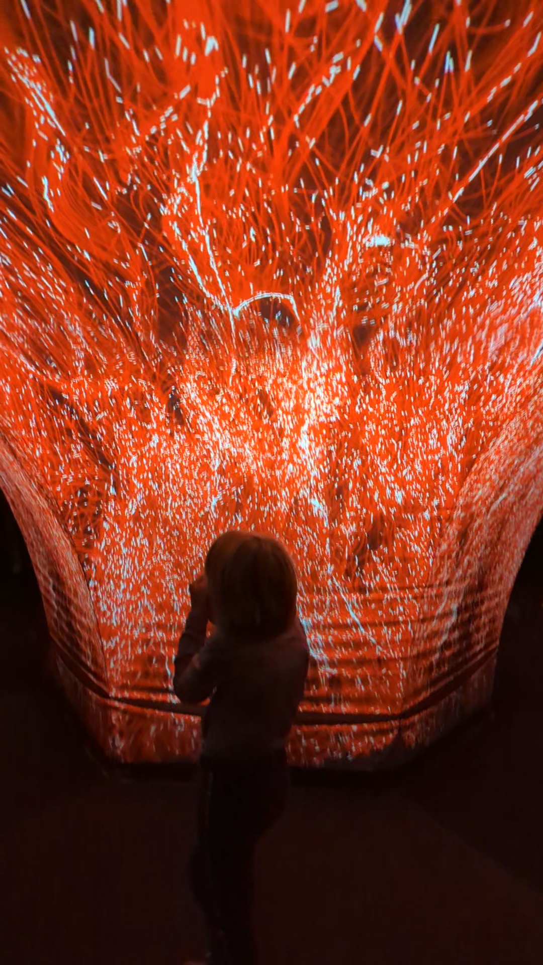 Animation on fabric (Facing Disaster)