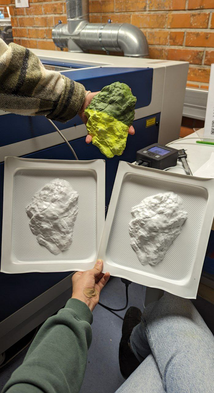 Vacuum-formed polypropylene