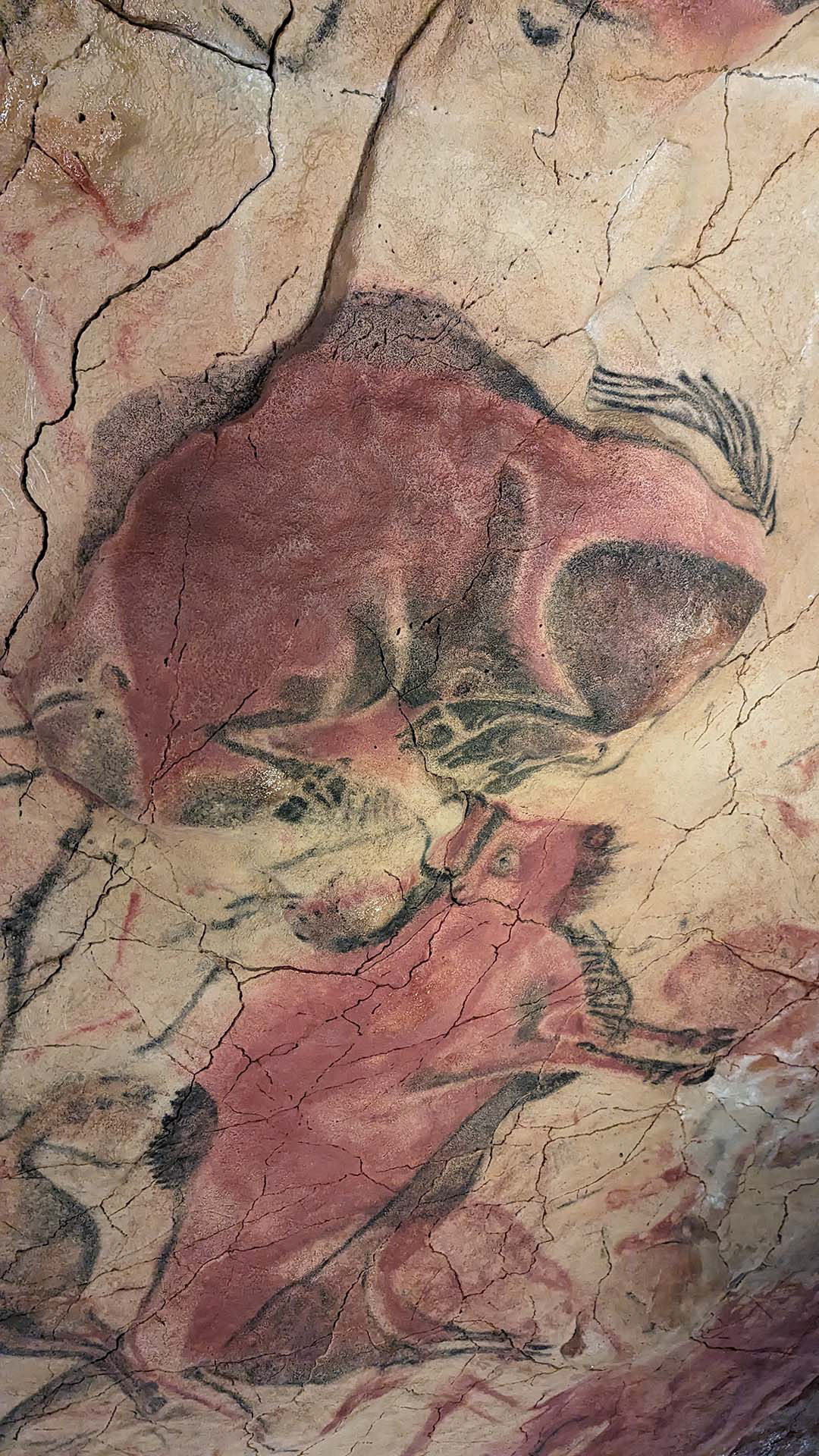 Altamira, Spain