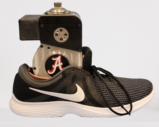 Powered Ankle Joint