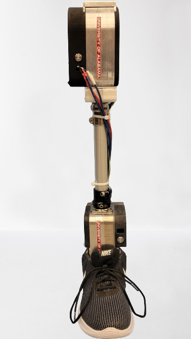 Powered Knee and Ankle Joint