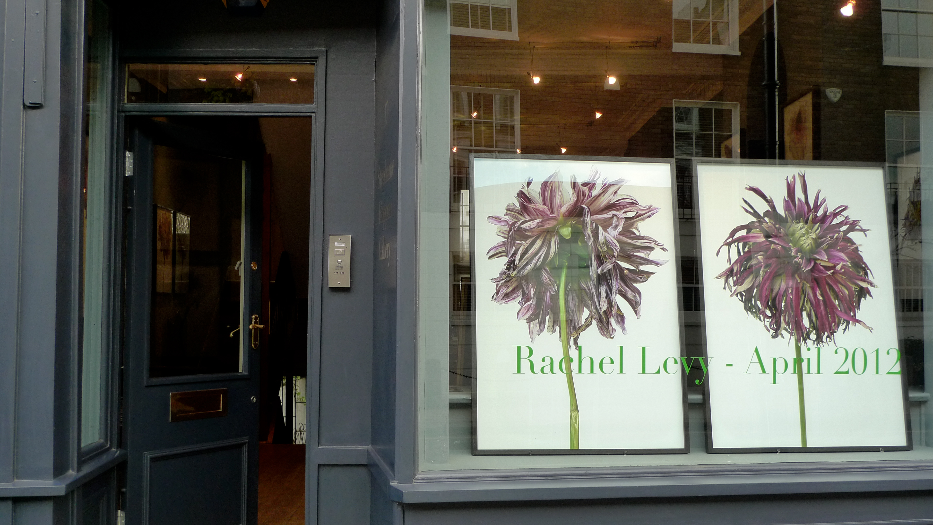 Galerie Stephanie Hoppen London