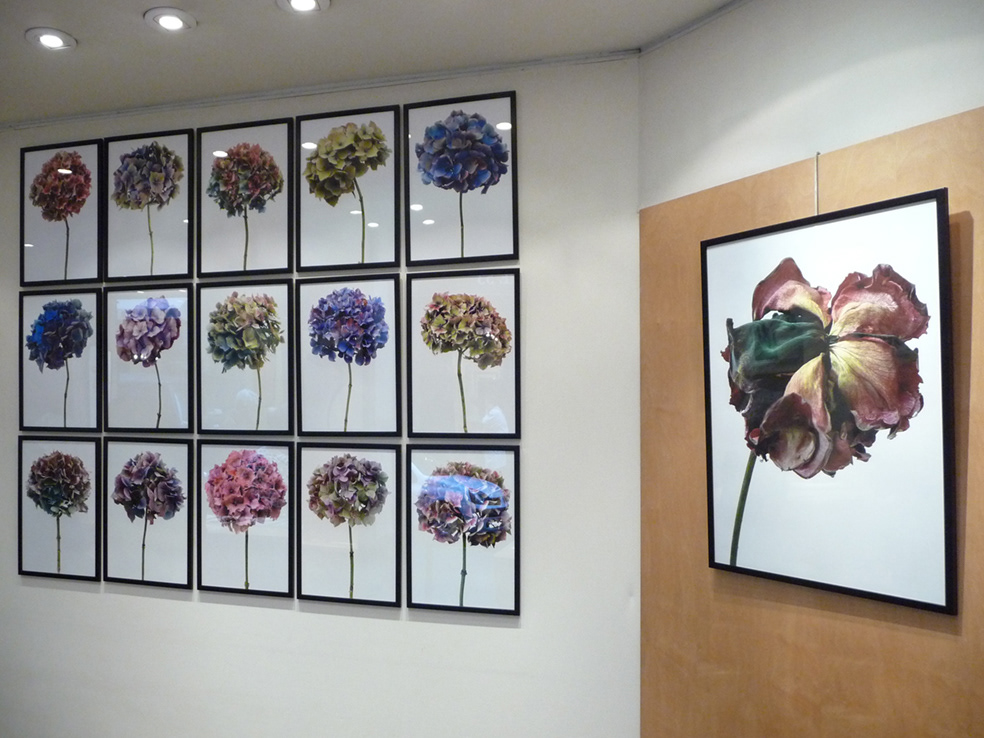Galerie Grillon Paris