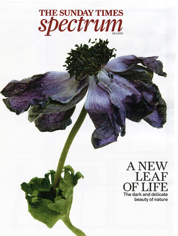 Sunday times 2012