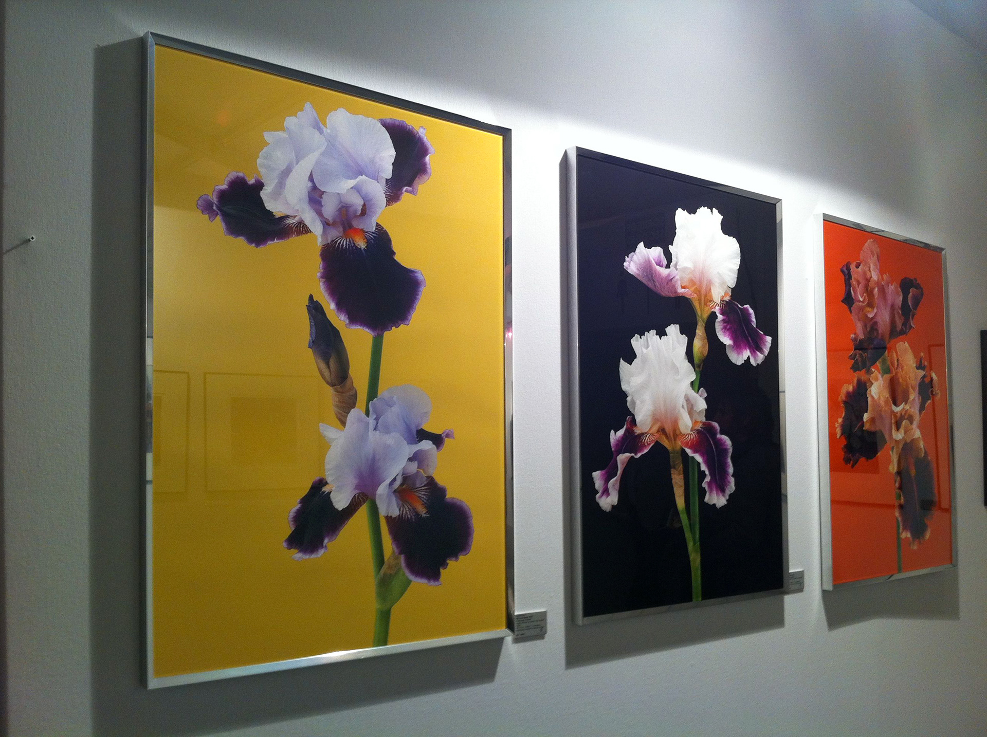 Art Elysées