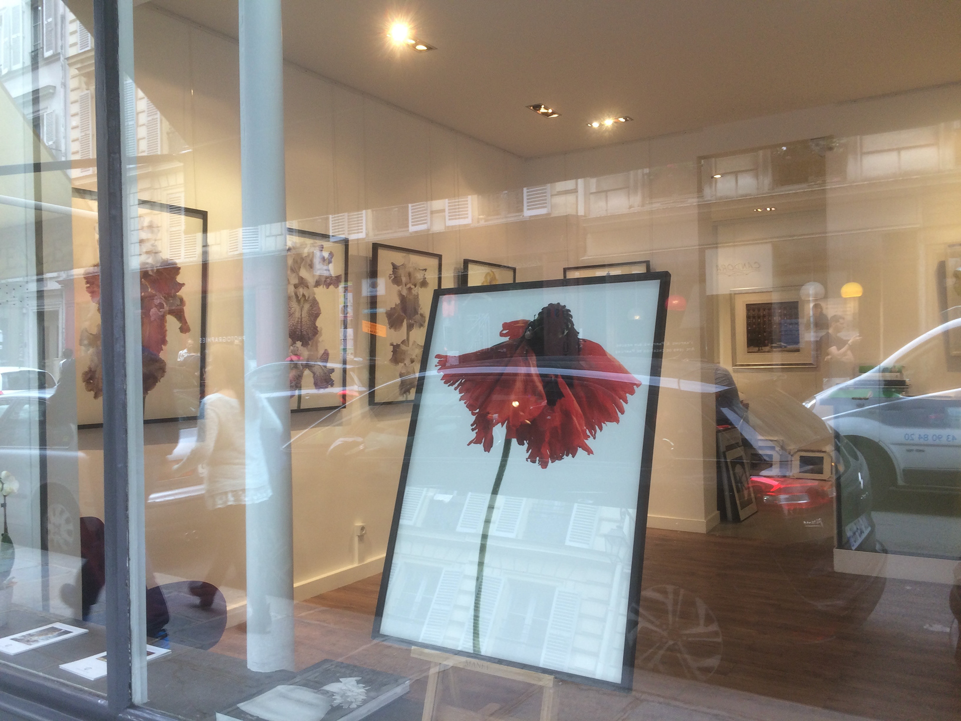 Galerie GADCOLLECTION