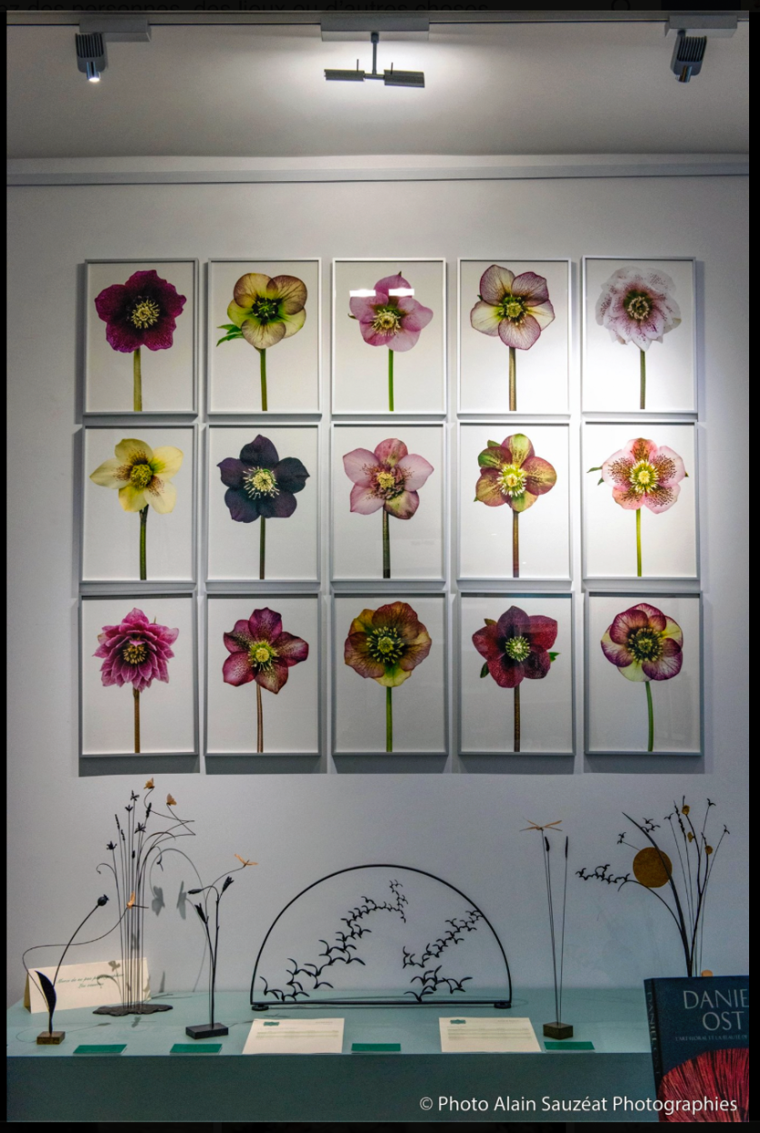 Galerie jardin en art Paris