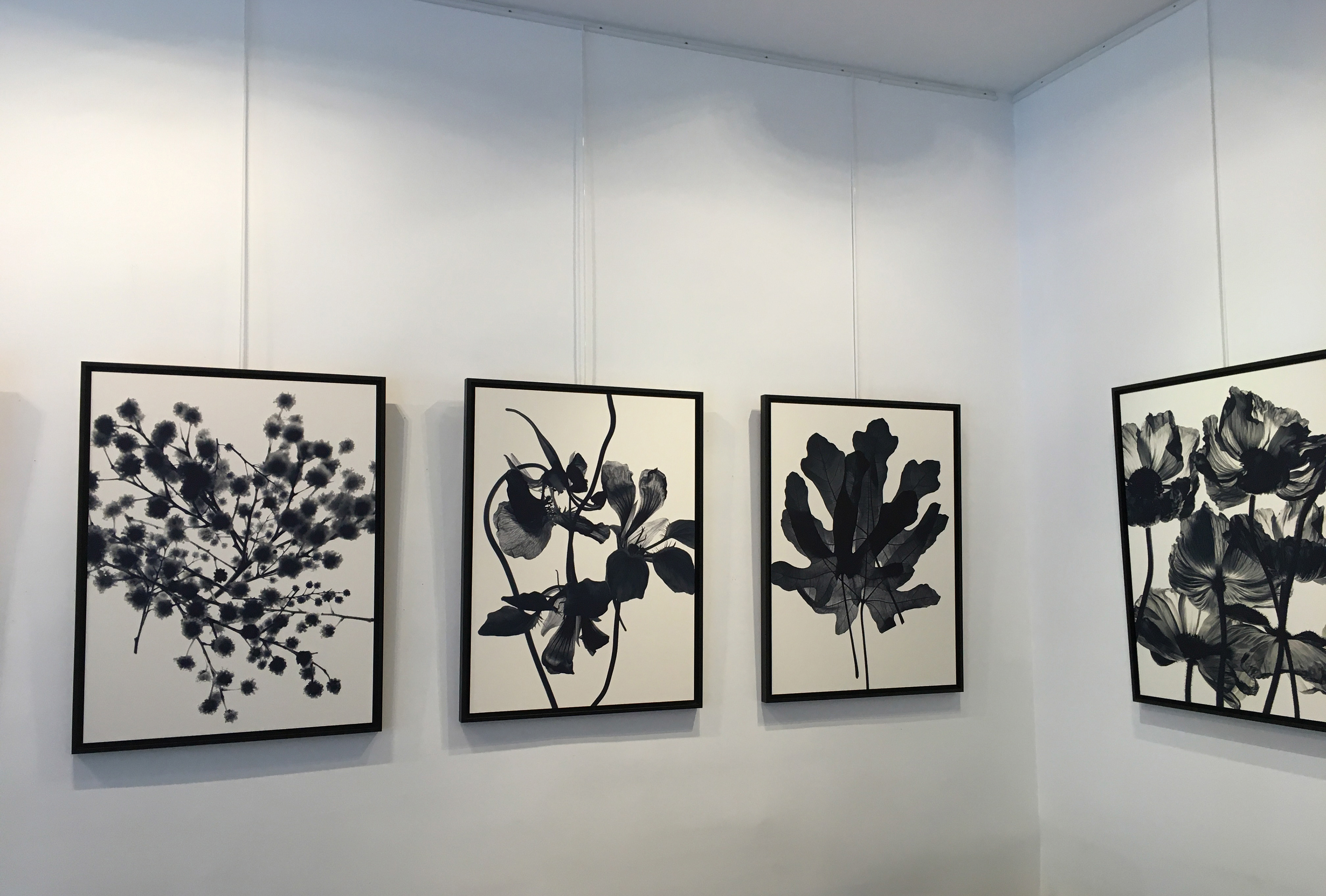 Galerie GADCOLLECTION