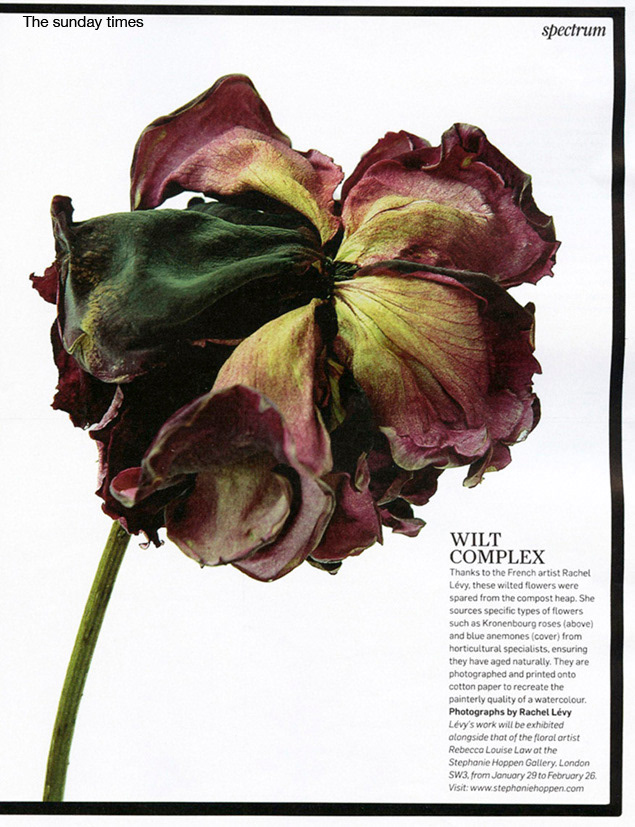Sunday times 2012