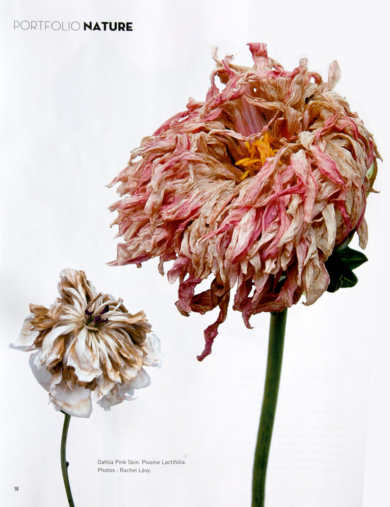 Home interiors 2012