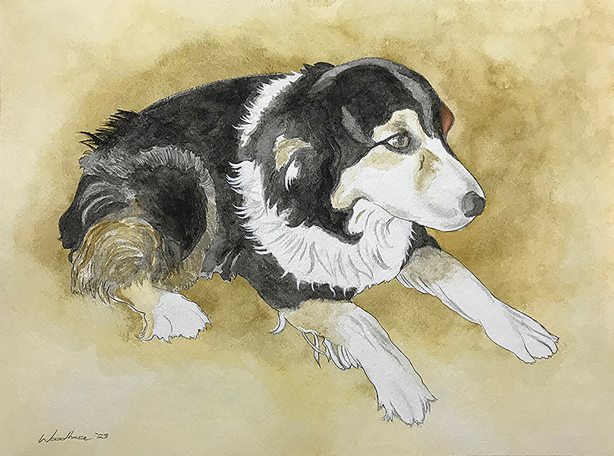 Dog portrait commission