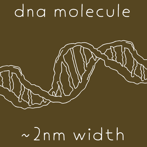 DNA gif